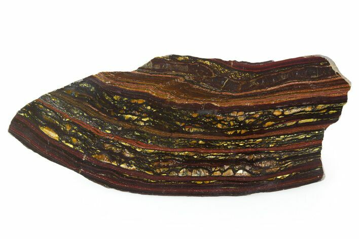 Polished Tiger Iron Stromatolite Slab - Billion Years #351889